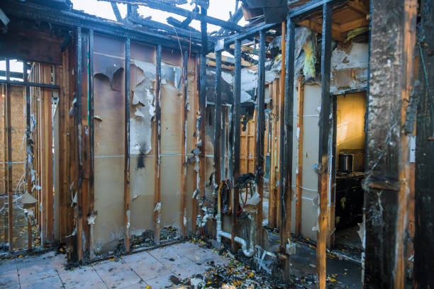 Professional Fire Damage Removal technician working in Scandia, MN
